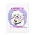 Bichon Cook Postcard