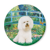 Bichon Frise 1 - Bridge Magnets