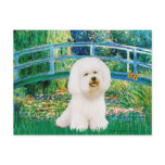 Bichon Frise 1 - Bridge Postcards
