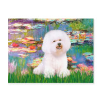 Bichon Frise 1 - Lilies 2 Post Card