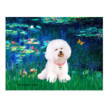 Bichon Frise 1 - Lilies #5 Post Cards