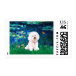Bichon Frise 1 - Lilies #5 Stamps