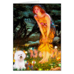 Bichon Frise 1 - MidEve Card