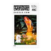 Bichon Frise 1 - MidEve Stamp