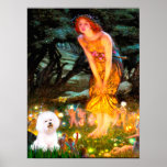 Bichon Frise 1 - MidEve Posters
