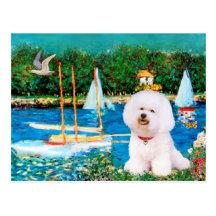 Bichon Frise 1 - Sailboats 1 Post Cards
