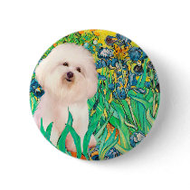 Bichon Frise 4  - Irises Button