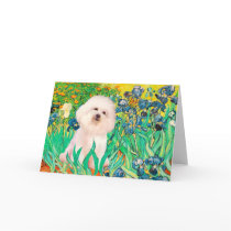 Bichon Frise 4  - Irises Greeting Cards