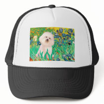 Bichon Frise 4  - Irises Hat