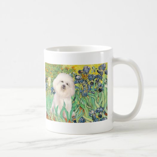  Bichon Frise 4 - Irises