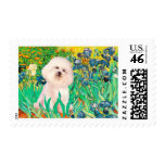 Bichon Frise 4  - Irises Postage