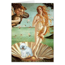Bichon Frise 5 - Venus Greeting Card