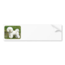 Bichon Frise 9A063D-05 Bumper Stickers