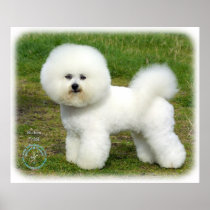 Bichon Frise 9A063D-05 Print