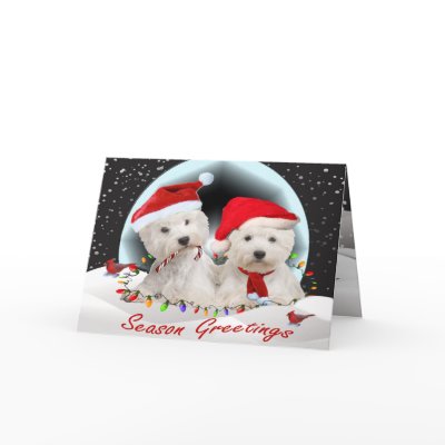 Bichon Frise A Merry Christmas Greeting Card