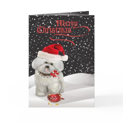 Bichon Frise A Merry Christmas Greeting Card