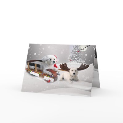 Bichon Frise A Merry Christmas Greeting Card by friskybiz