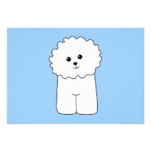 Bichon Frise. Announcement