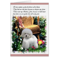 Bichon Frise Art Gifts card