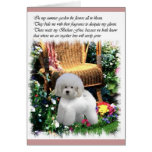 Bichon Frise Art Gifts Greeting Cards