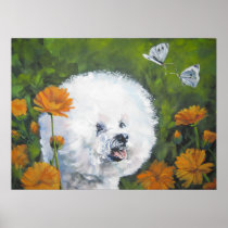 Bichon Frise Art Print