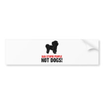 Bichon Frise Bumper Sticker