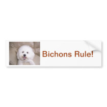 Bichon Frise Bumper Stickers