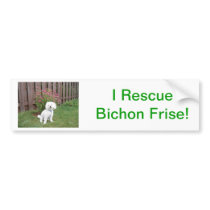 Bichon Frise Bumper Sticker