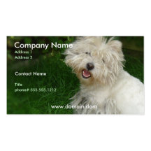 Bichon Frise Business Card