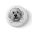 Bichon Frise Busting Out button