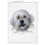 Bichon Frise Busting Out Greeting Card