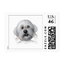 Bichon Frise Busting Out - Customized postage