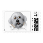 Bichon Frise Busting Out - Customized postage