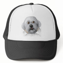 Bichon Frise Busting Out hats