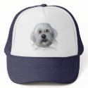 Bichon Frise Busting Out hat