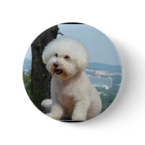 Bichon Frise Pin