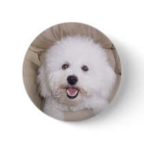 Bichon Frise Pins