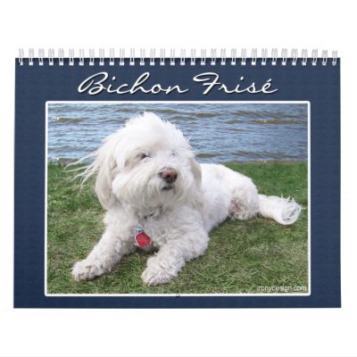 Bichon Frisé Calendar Bichon Frisé Calendar