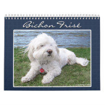 Bichon Frisé Calendar