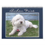 Bichon Frisé Calendar