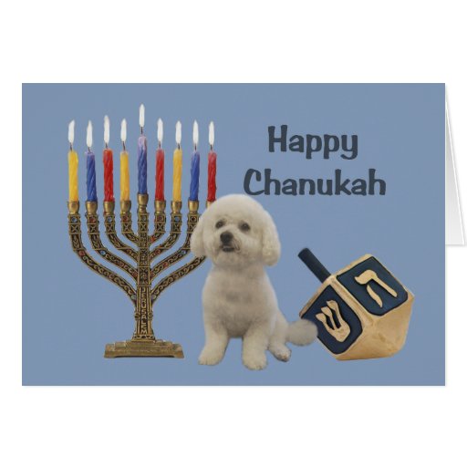 Bichon Frise Chanukah Card Menorah Dreidel