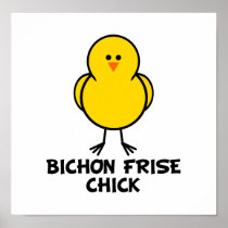 Bichon Frise Chick Poster