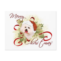 Bichon Frise Christmas Postcards