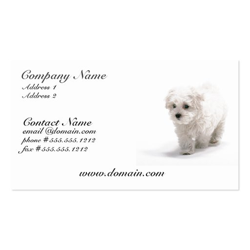 Bichon Frise Dog Business Card (front side)