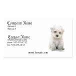 Bichon Frise Dog Business Card