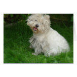 Bichon Frise Dog Greeting Card
