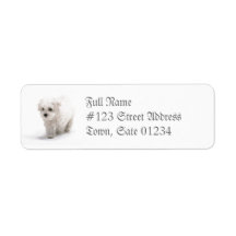 Bichon Frise Dog Mailing Label