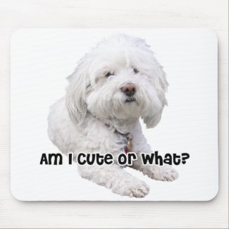 Bichon Frise Mouse Pad