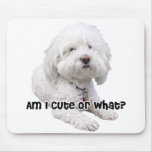 Bichon Frise Dog Mouse Pads