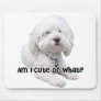 Bichon Frise Dog Mouse Pads